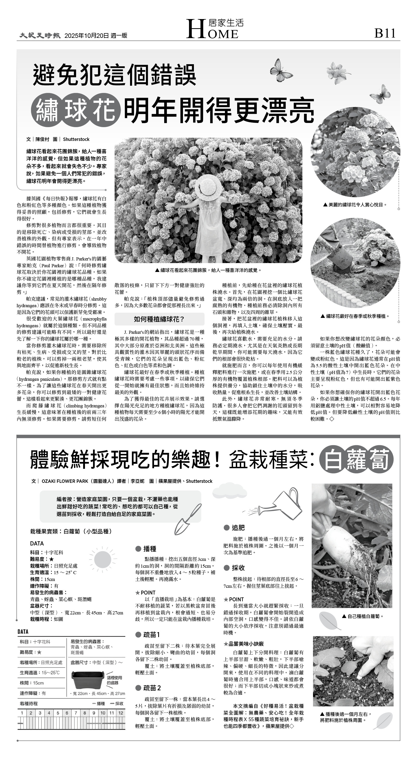 B11_CET_1574A_Mon_BW.jpg