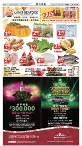 20251114_1577E_Seattle_AB 32 11:13:2025.jpg