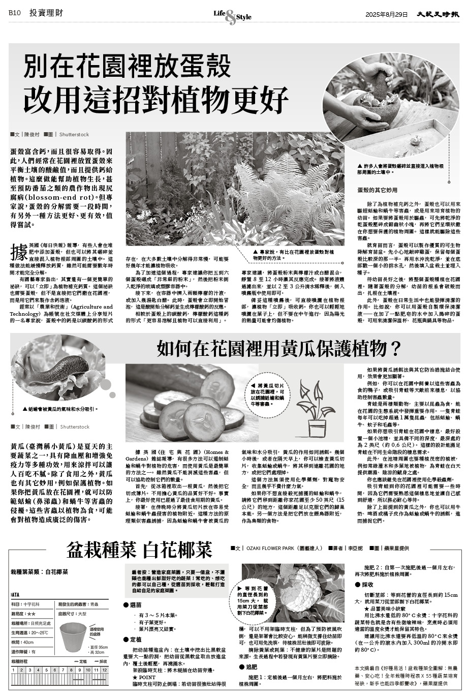Epoch_ch_0829_22.jpg