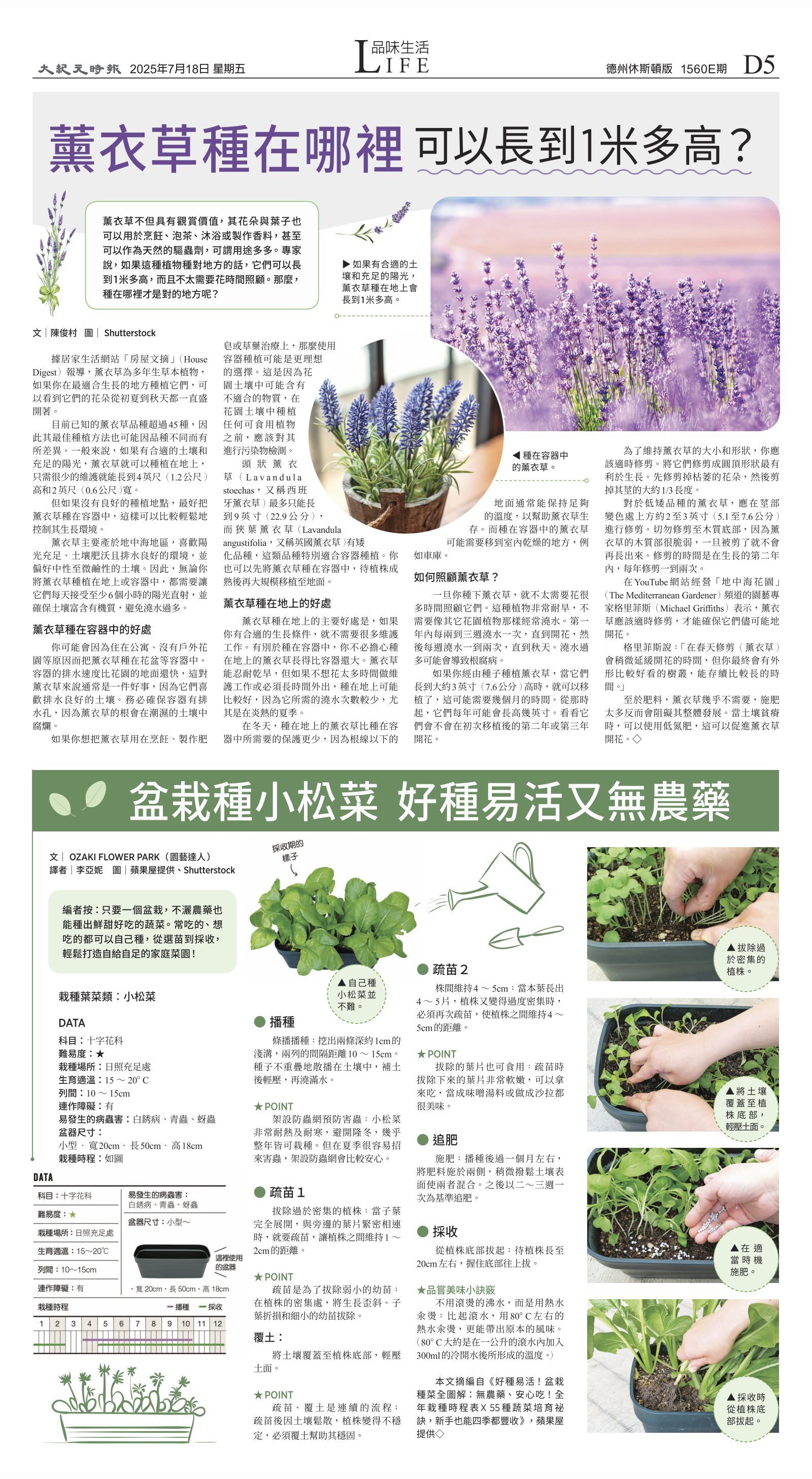djyhou_1560E_20250718_29.jpg