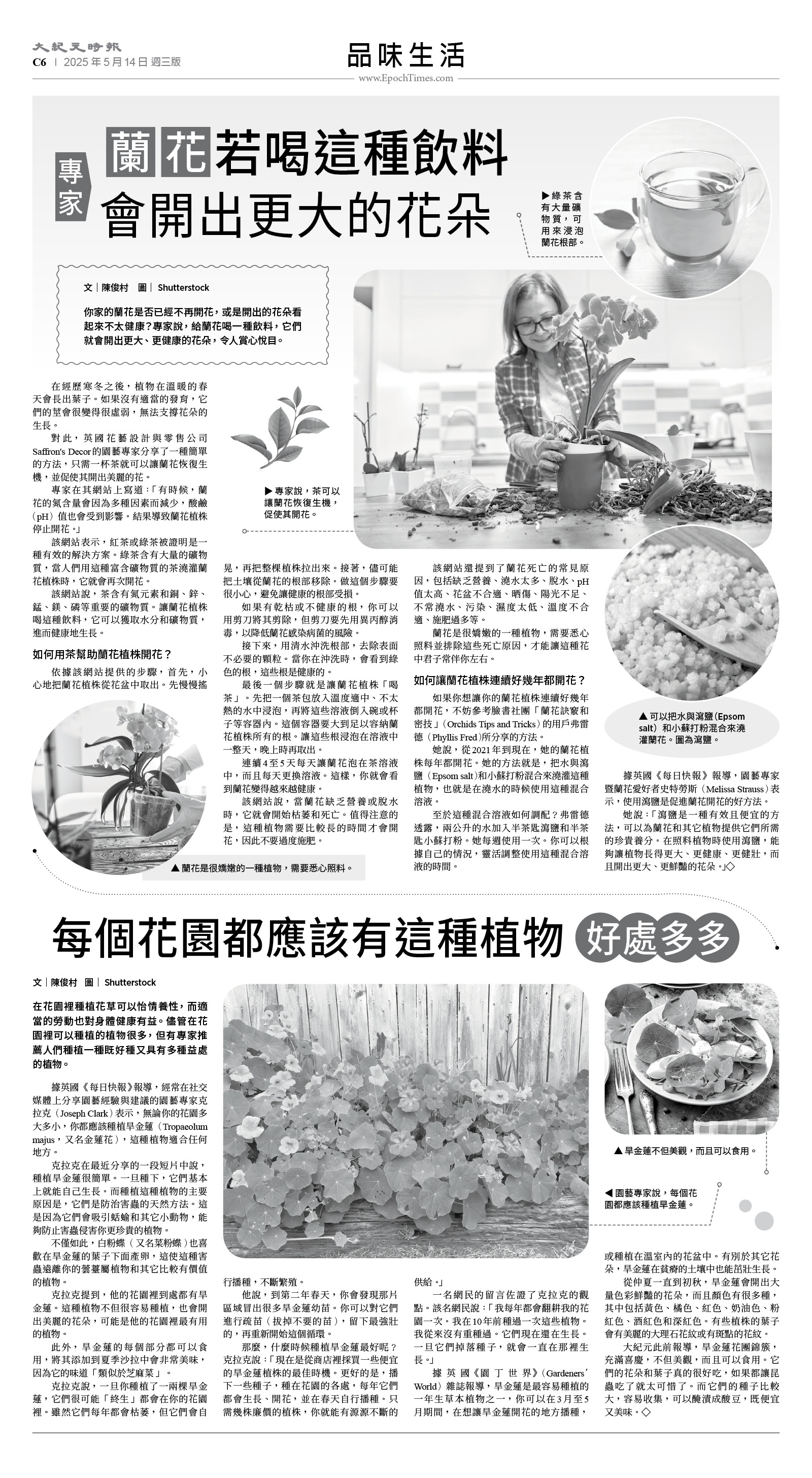 usEast_1551C_C06_BW.jpg
