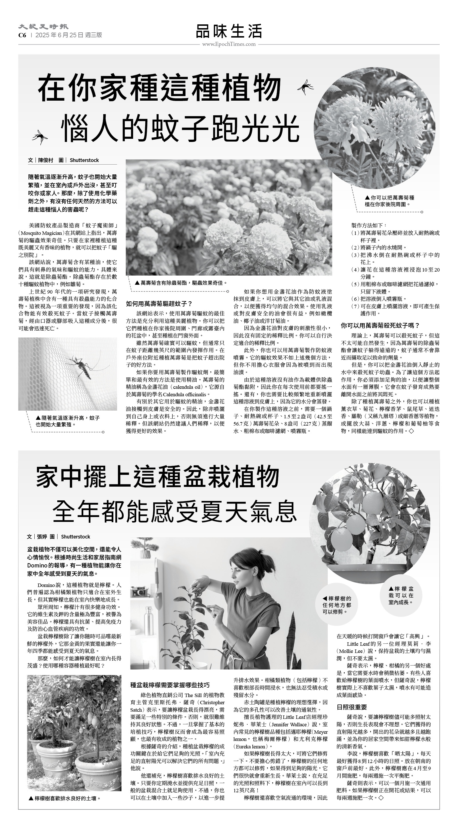 usEast_1557C_C06_BW.jpg