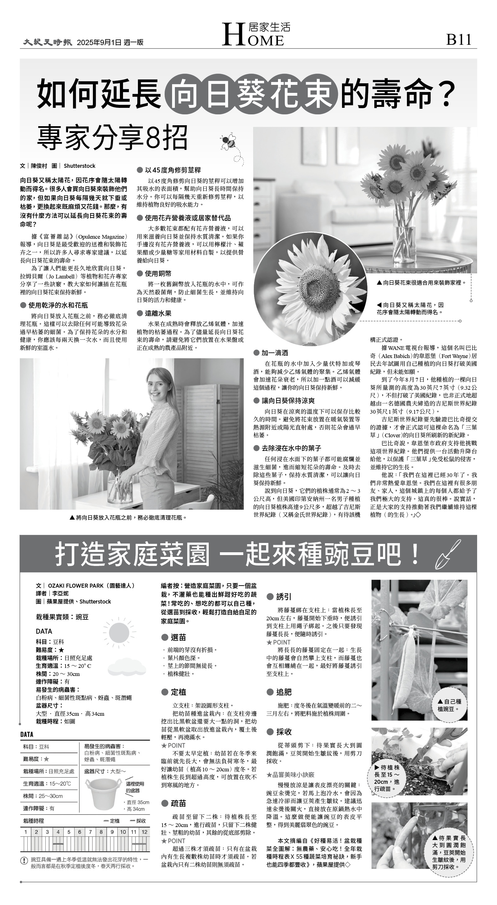 B11_1567A_Mon_BW.jpg