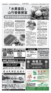 Djyatl_1589 20260206_D03.jpg