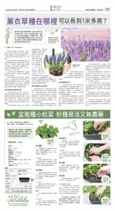 djyhou_1560E_20250718_29.jpg