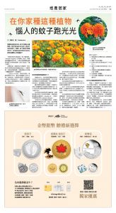 04Jul2025-NO-B-03.jpg